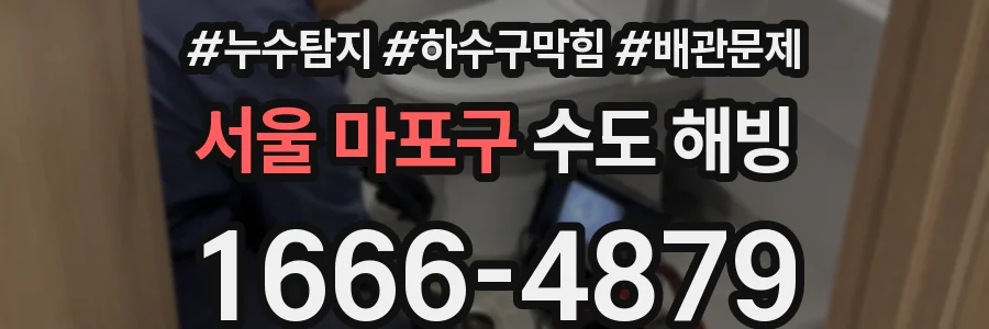 서울 마포구 수도 해빙