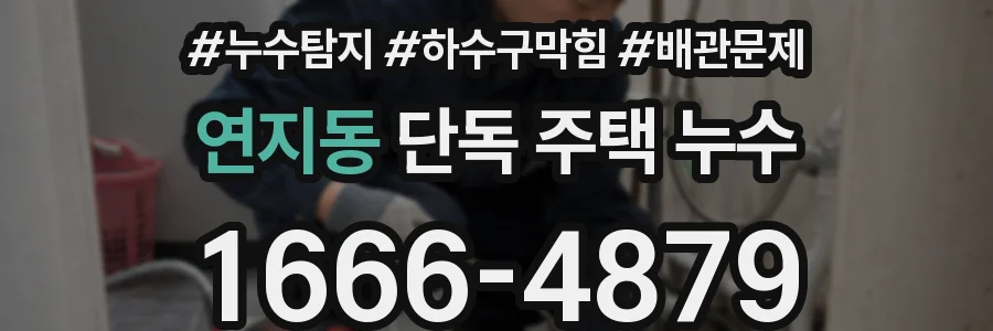 연지동 단독 주택 누수