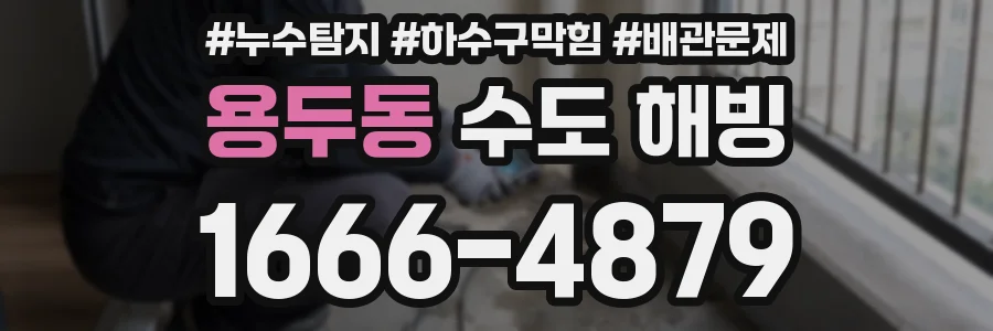 용두동 수도 해빙