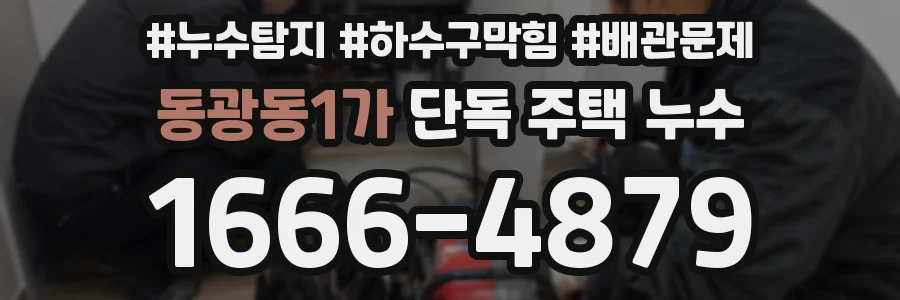 동광동1가 단독 주택 누수