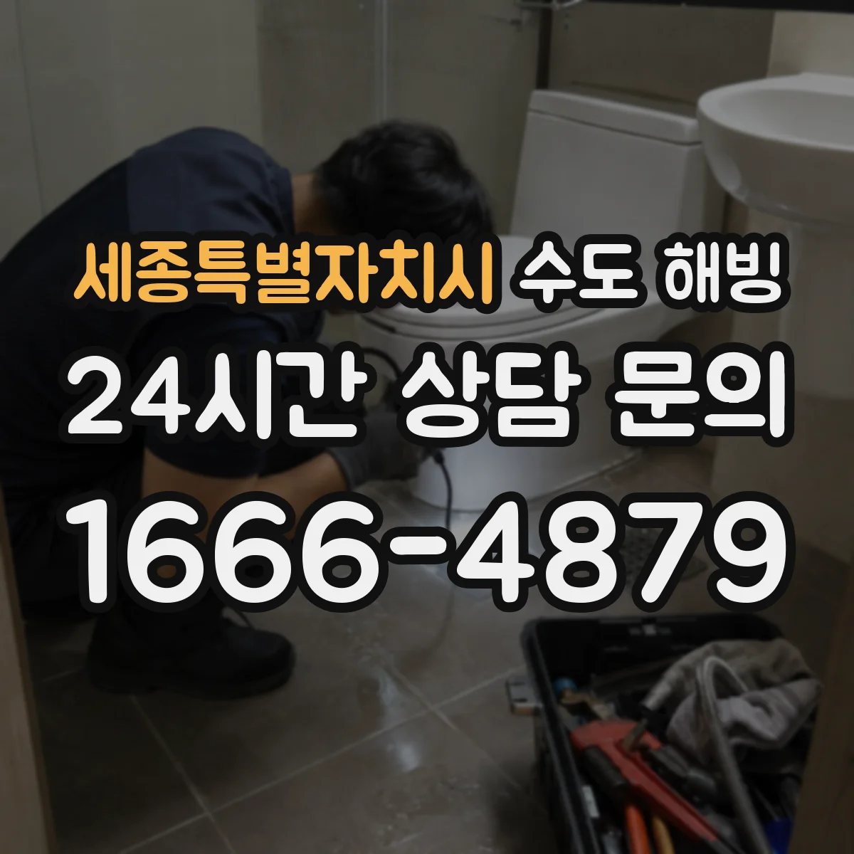 세종특별자치시 수도 해빙