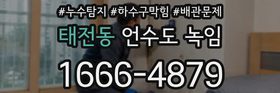 태전동 언수도 녹임