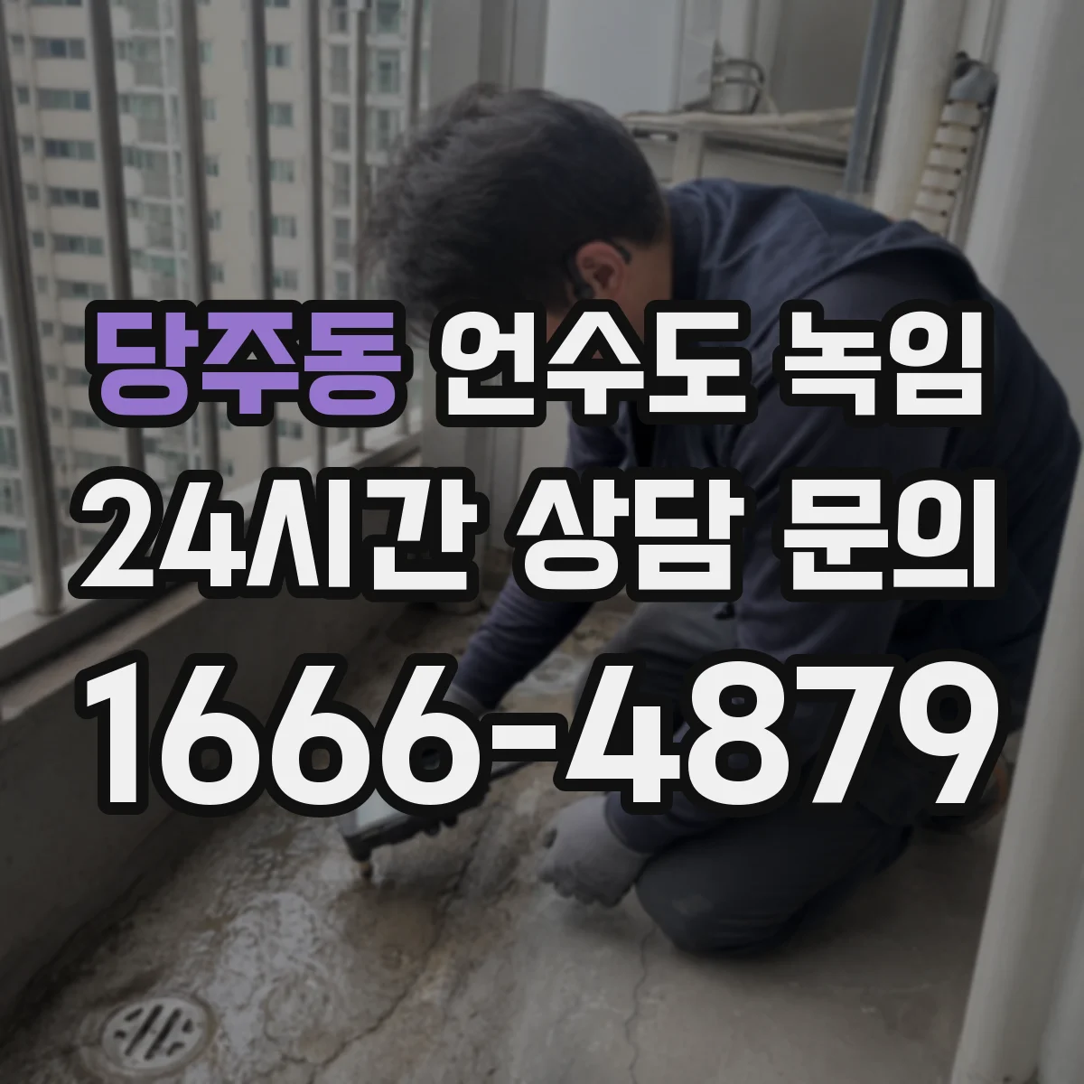 당주동 언수도 녹임
