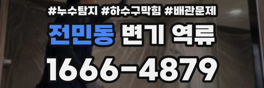 전민동 변기 역류