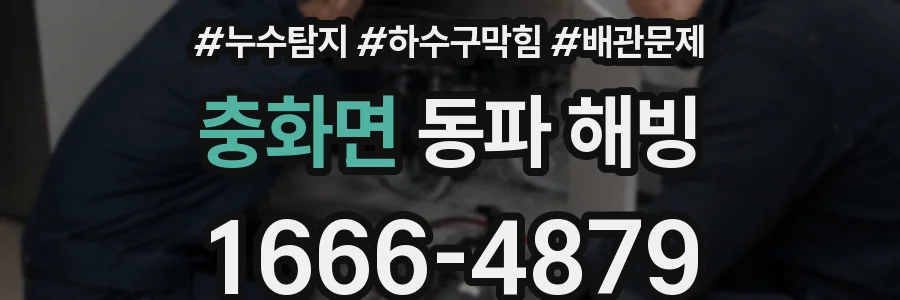 충화면 동파 해빙