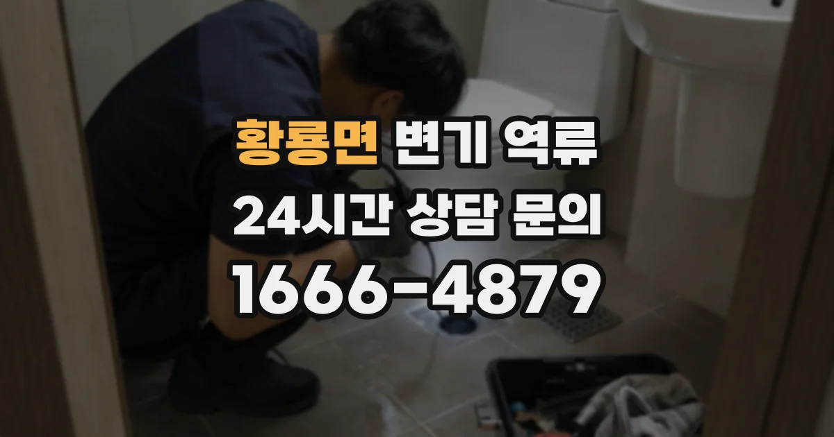 황룡면 변기 역류