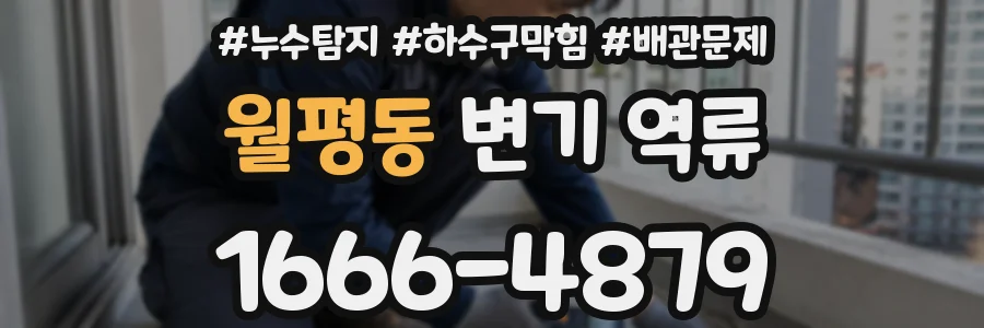월평동 변기 역류