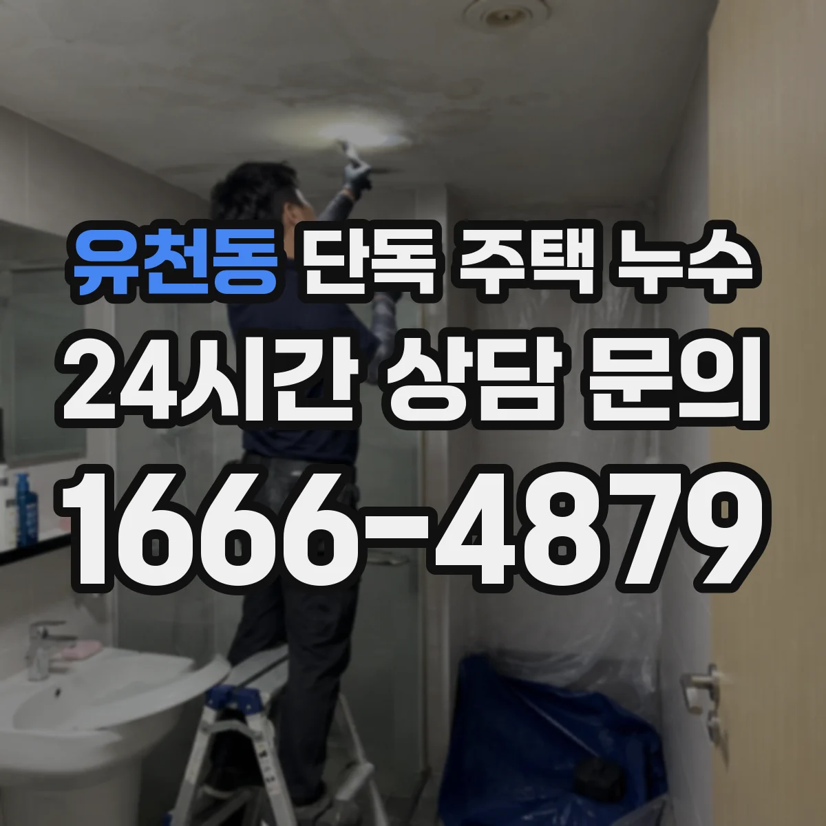 유천동 단독 주택 누수