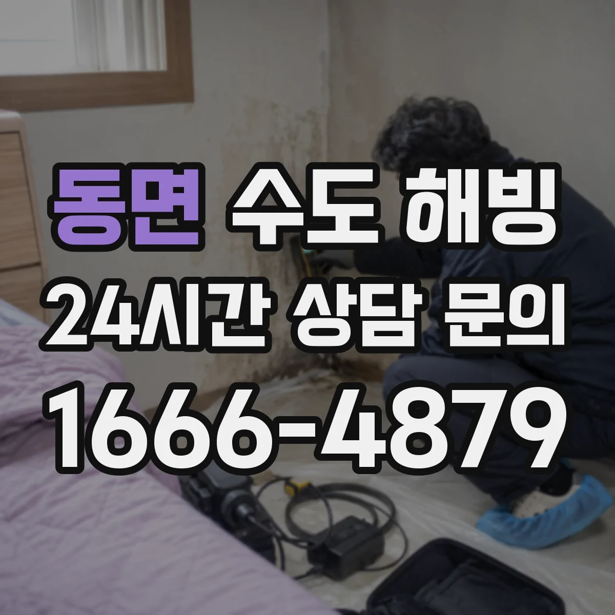 동면 수도 해빙