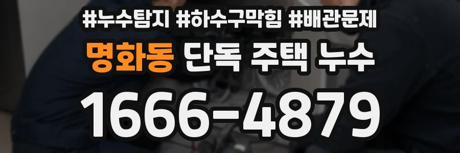 명화동 단독 주택 누수