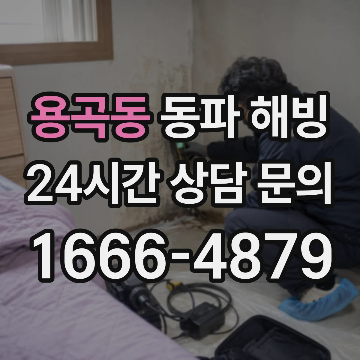 용곡동 동파 해빙