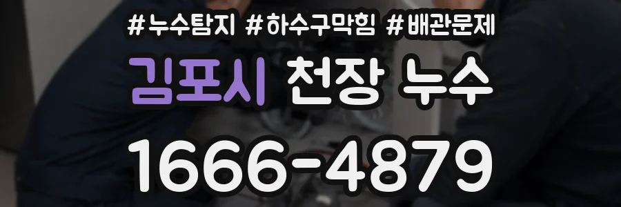 김포시 천장 누수