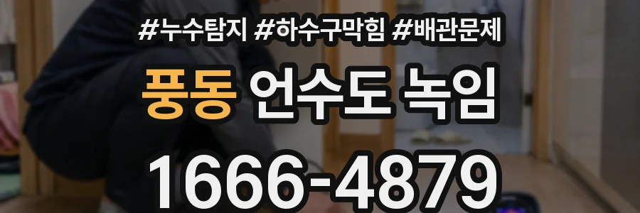 풍동 언수도 녹임