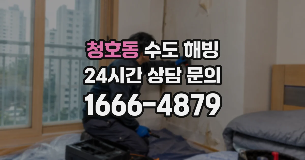 청호동 수도 해빙