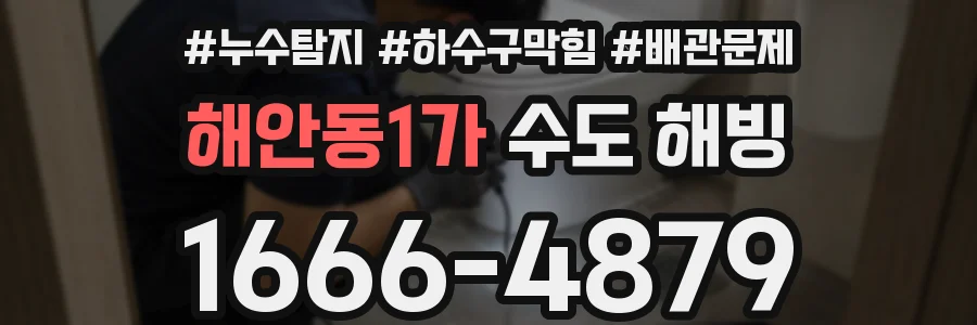 해안동1가 수도 해빙