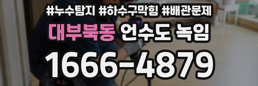 대부북동 언수도 녹임