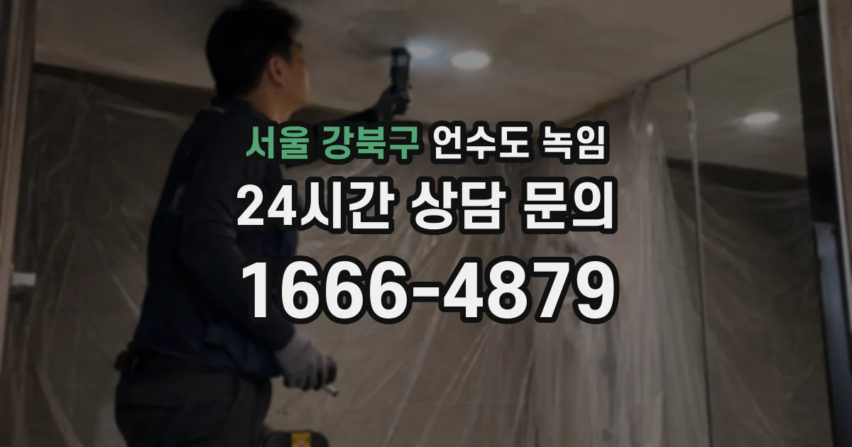 서울 강북구 언수도 녹임