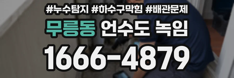 무릉동 언수도 녹임