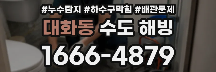 대화동 수도 해빙