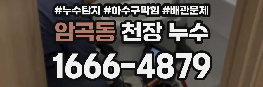 암곡동 천장 누수