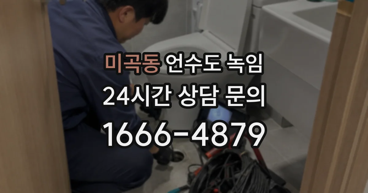 미곡동 언수도 녹임
