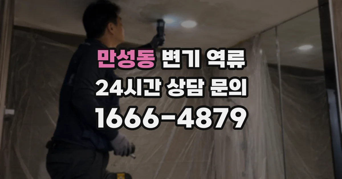만성동 변기 역류