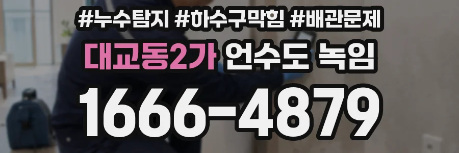 대교동2가 언수도 녹임