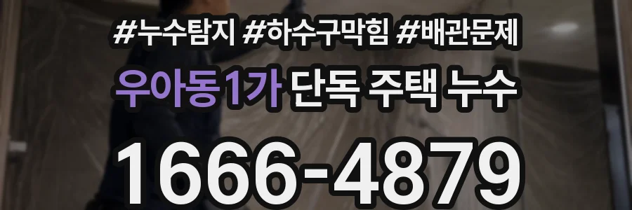 우아동1가 단독 주택 누수