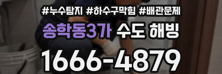 송학동3가 수도 해빙
