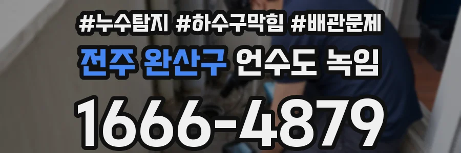 전주 완산구 언수도 녹임
