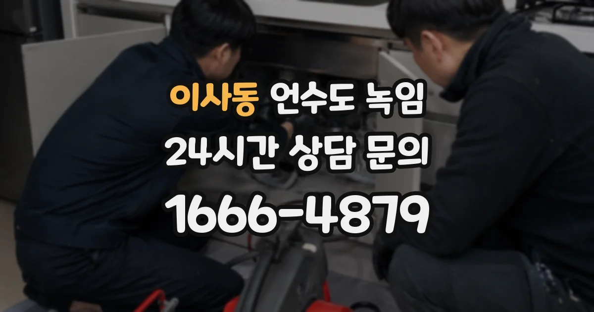 이사동 언수도 녹임