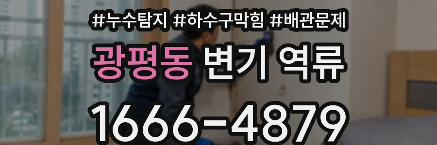 광평동 변기 역류