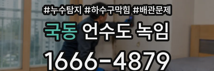 국동 언수도 녹임