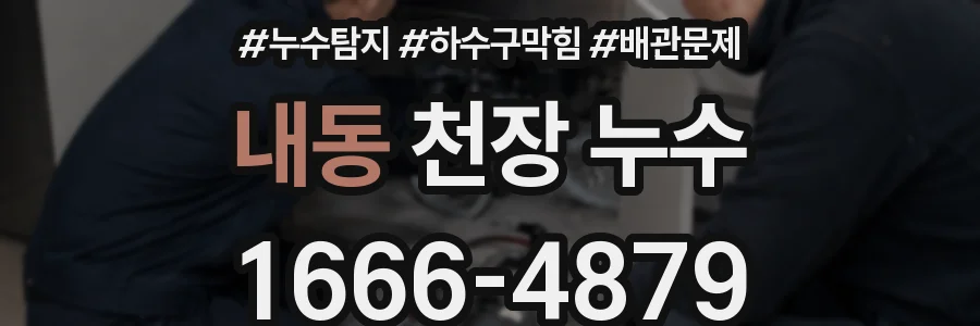 내동 천장 누수