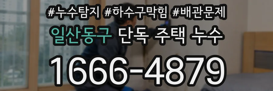 일산동구 단독 주택 누수