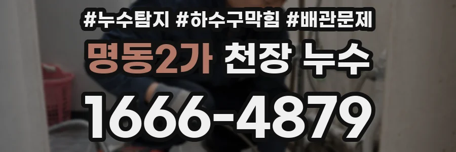 명동2가 천장 누수