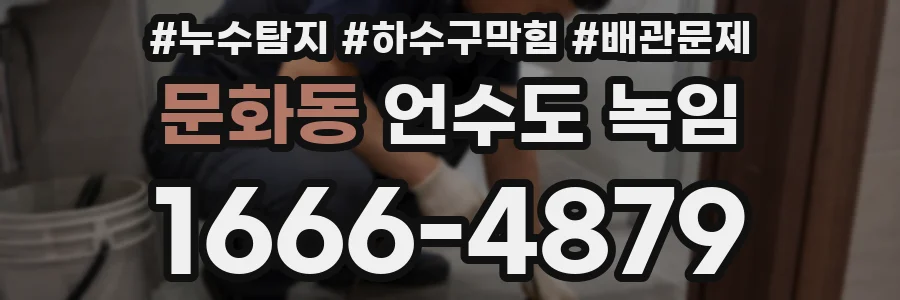 문화동 언수도 녹임