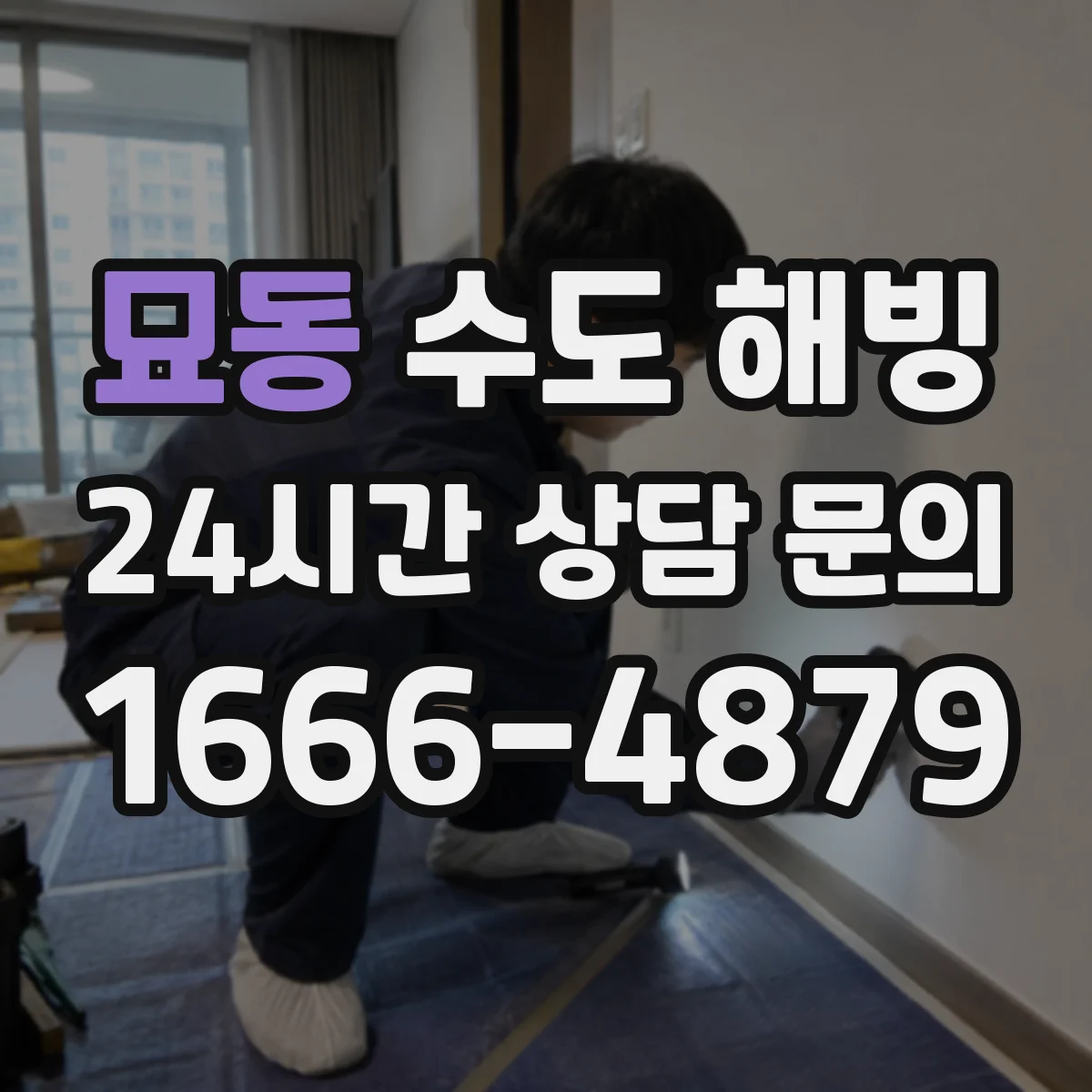 묘동 수도 해빙