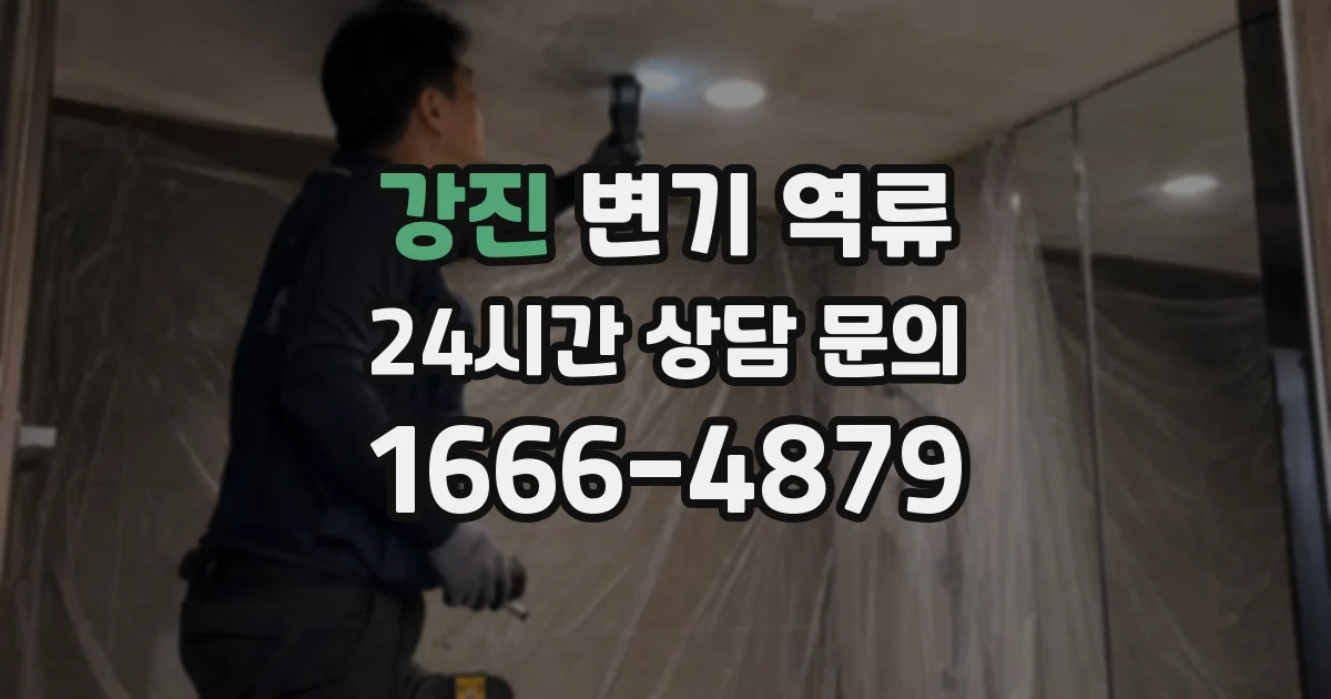 강진 변기 역류