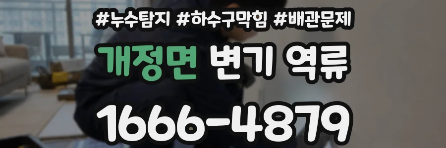 개정면 변기 역류