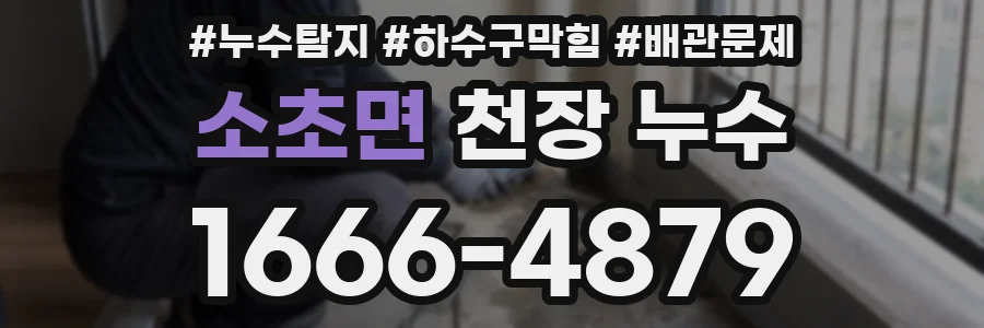 소초면 천장 누수