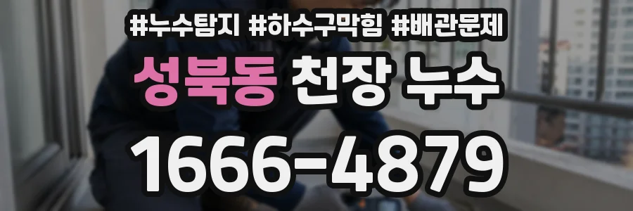 성북동 천장 누수