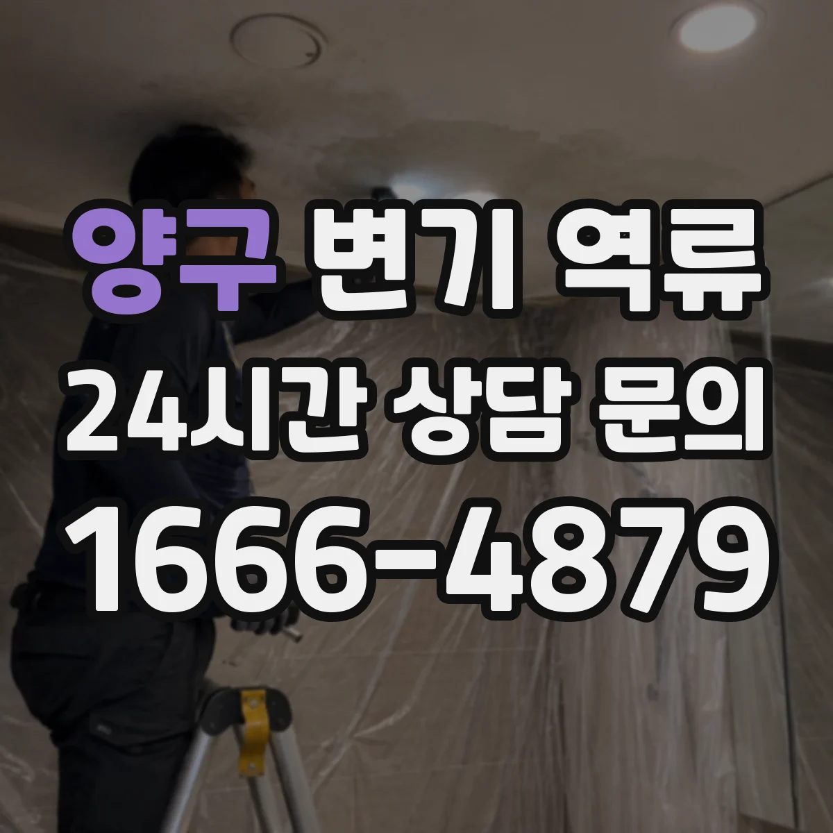 양구 변기 역류 세대별로 번갈아 나타날 때 확인 순서