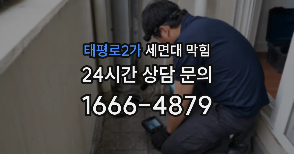 태평로2가 세면대 막힘