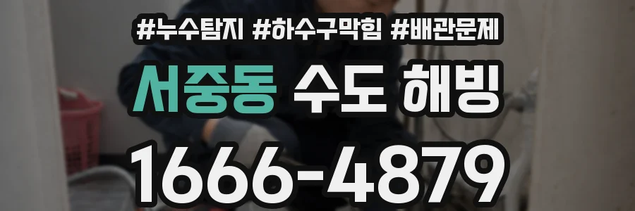 서중동 수도 해빙