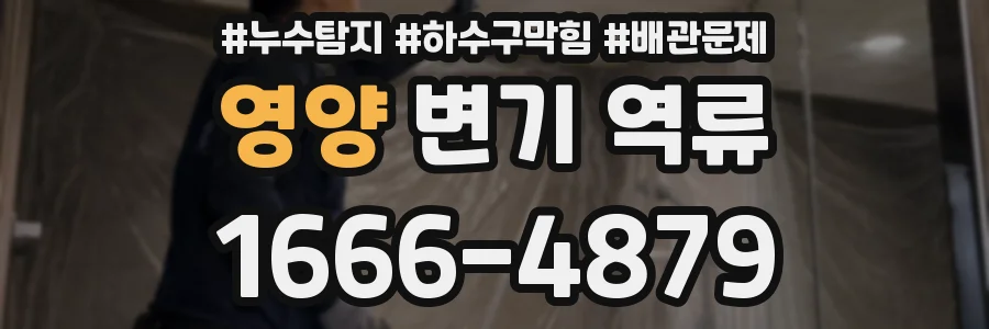 영양 변기 역류