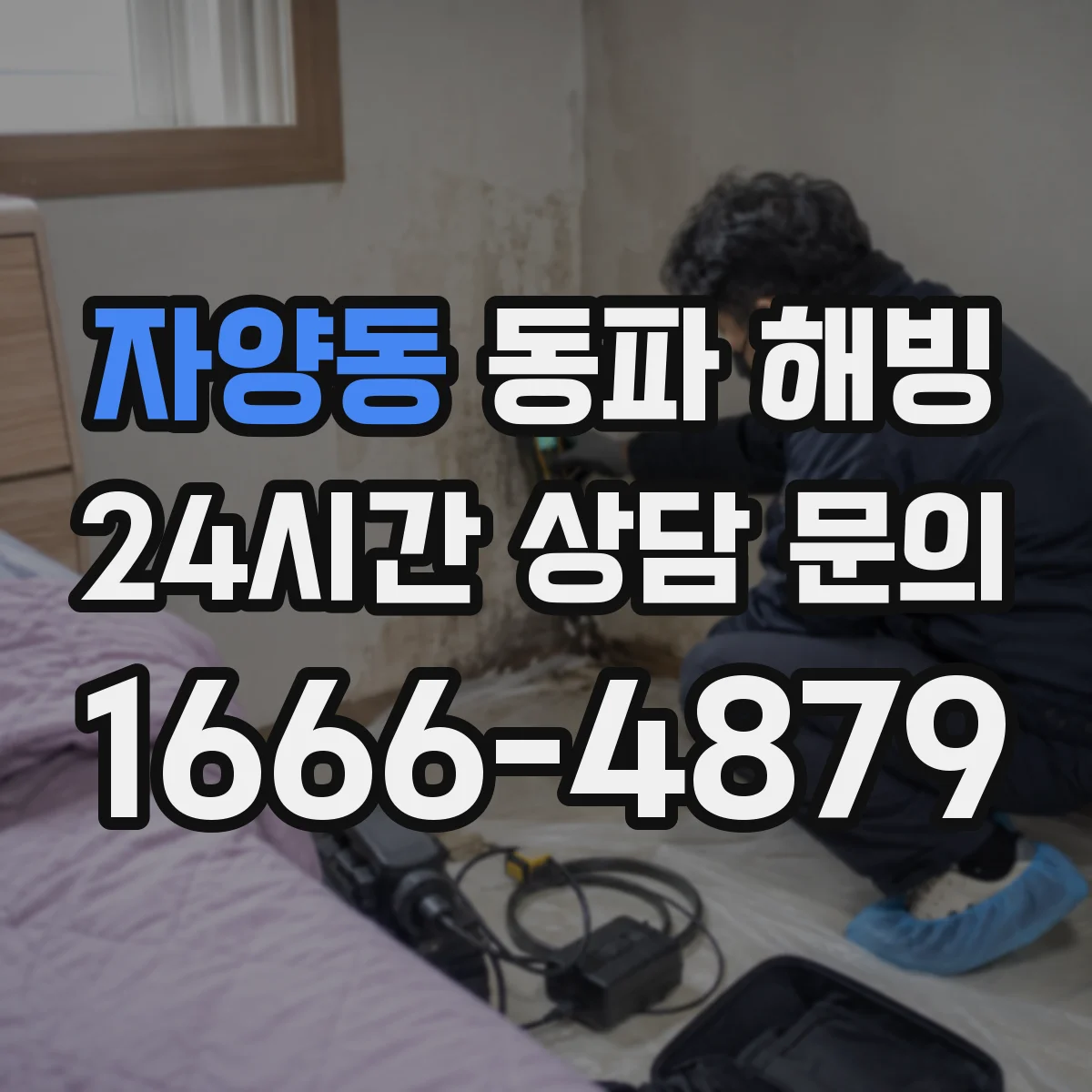 자양동 동파 해빙