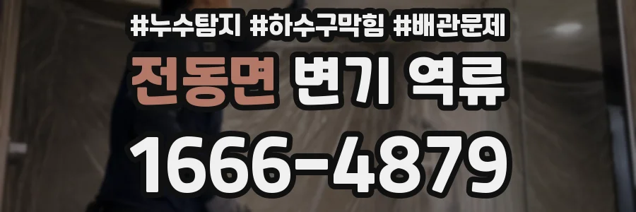 전동면 변기 역류