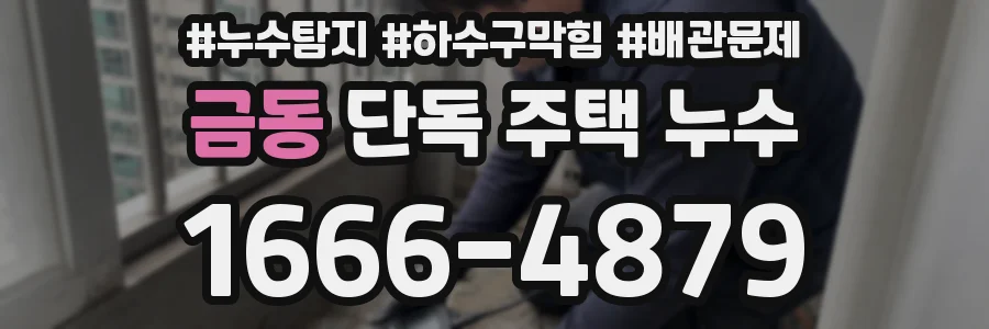 금동 단독 주택 누수