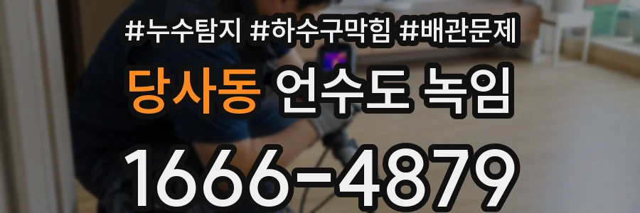당사동 언수도 녹임